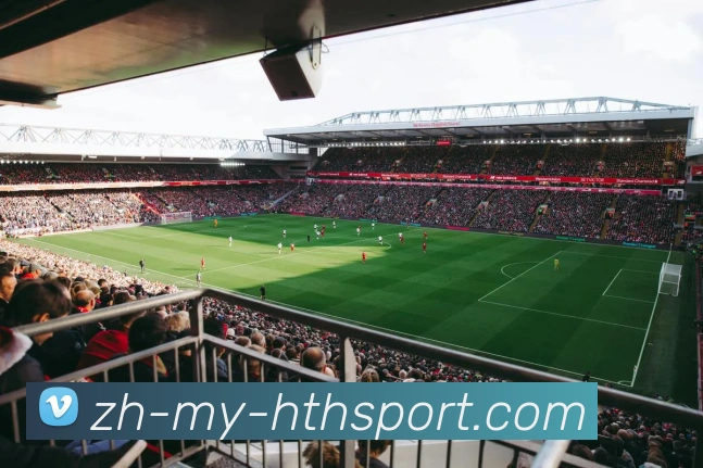 华体会平台生态图